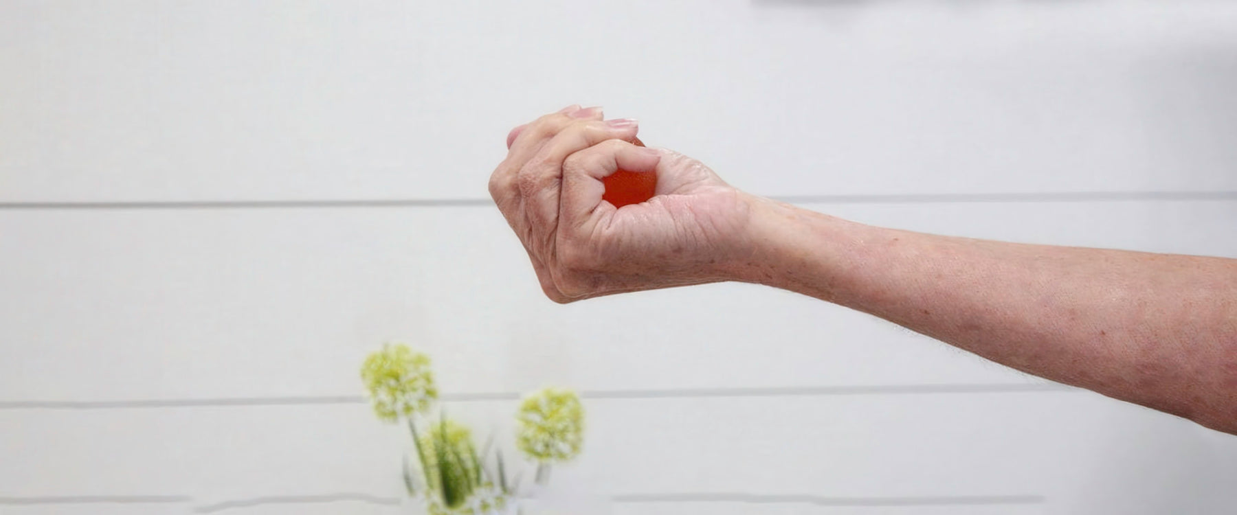 hand exercise ball