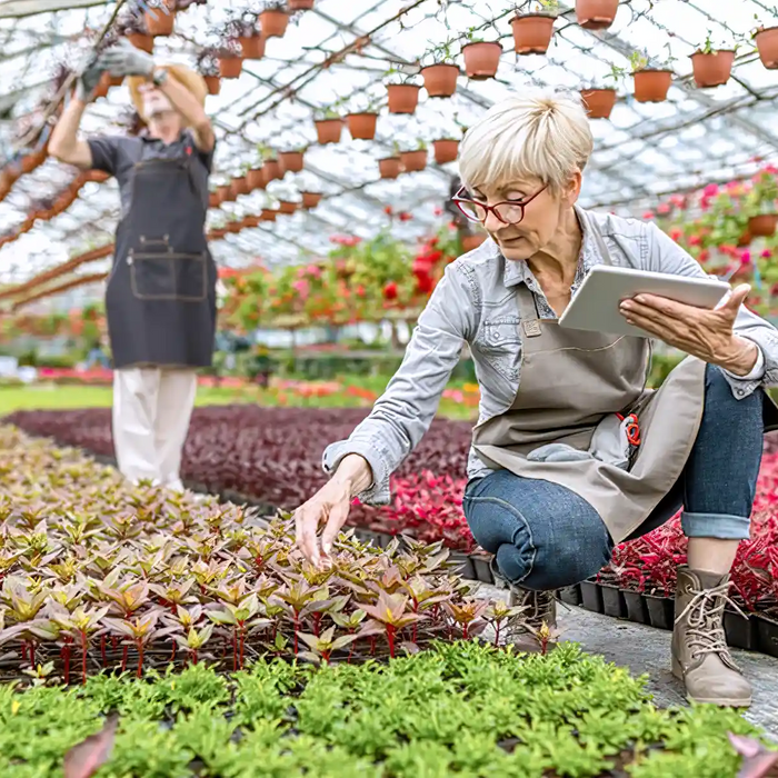senior working in garden