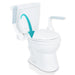 Vive Rise Up Toilet Rail