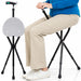 Vive Seat Cane