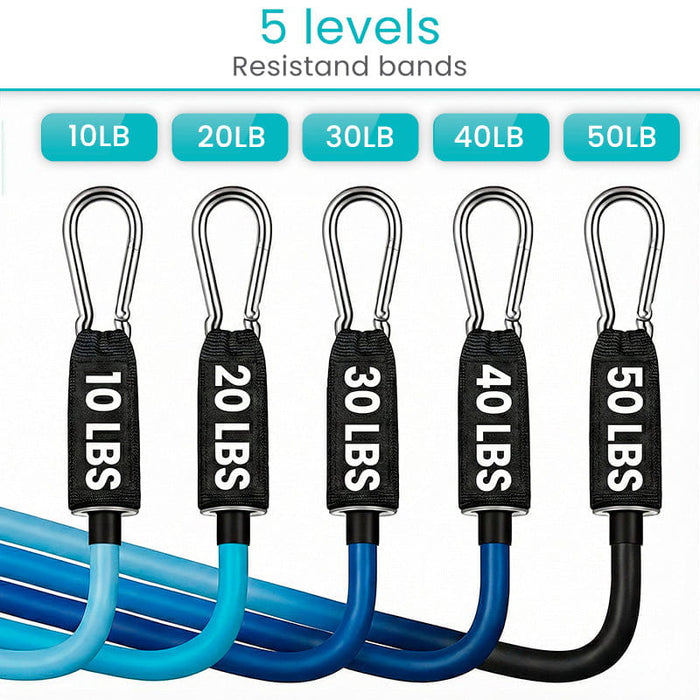 5 Levels