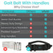 Gait Belt with Handles