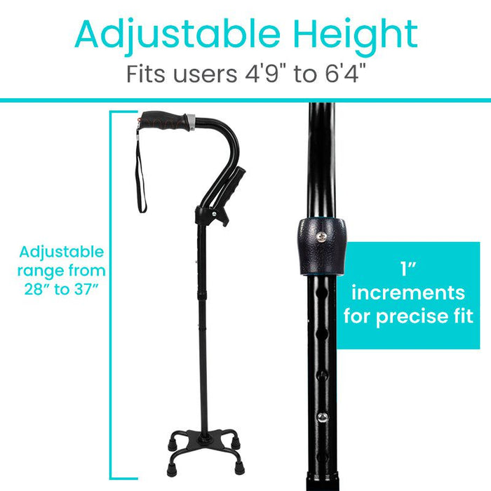 Stand Assist Cane