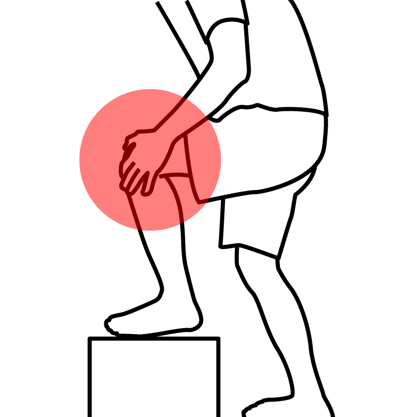 Knee