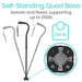 Self-standing quad base. Swivels and flexes, supporting up to 250 lb